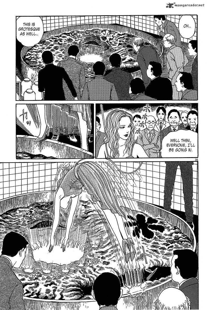 Black Paradox 5 35