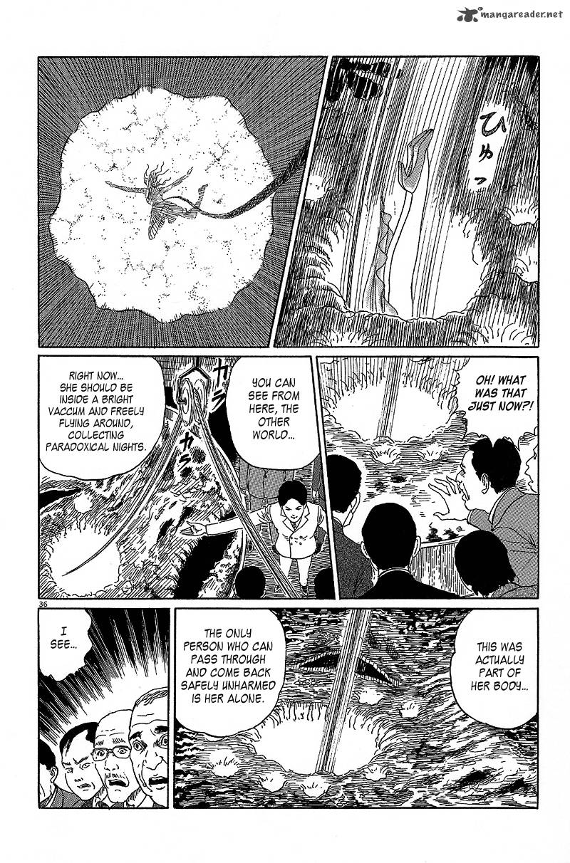 Black Paradox 5 36