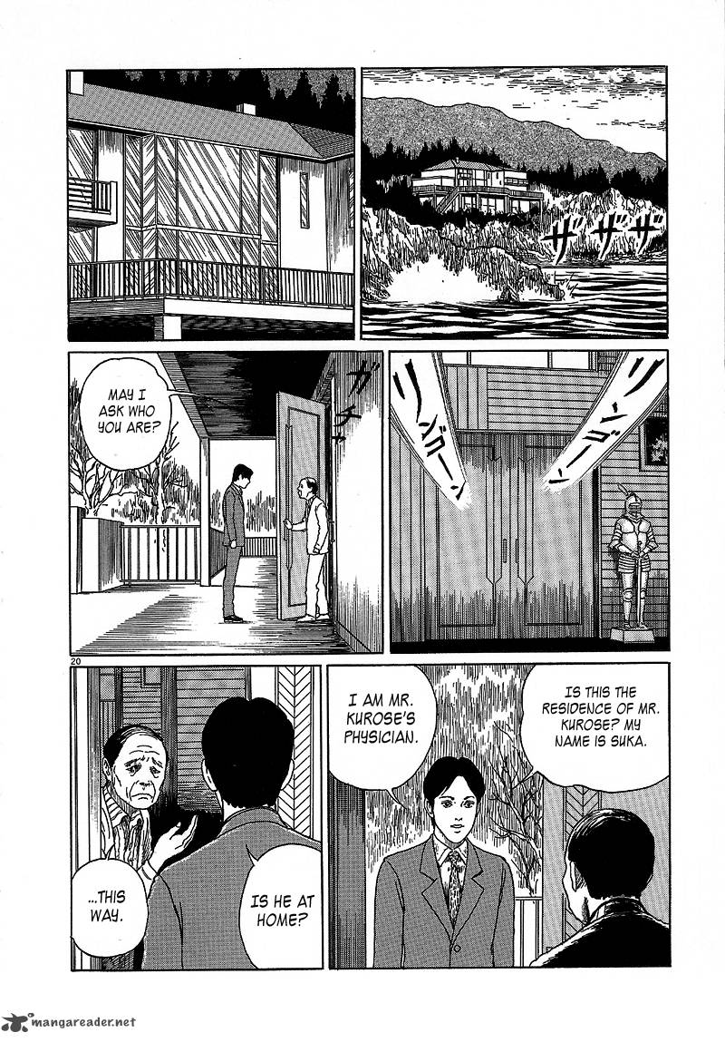 Black Paradox 6 20