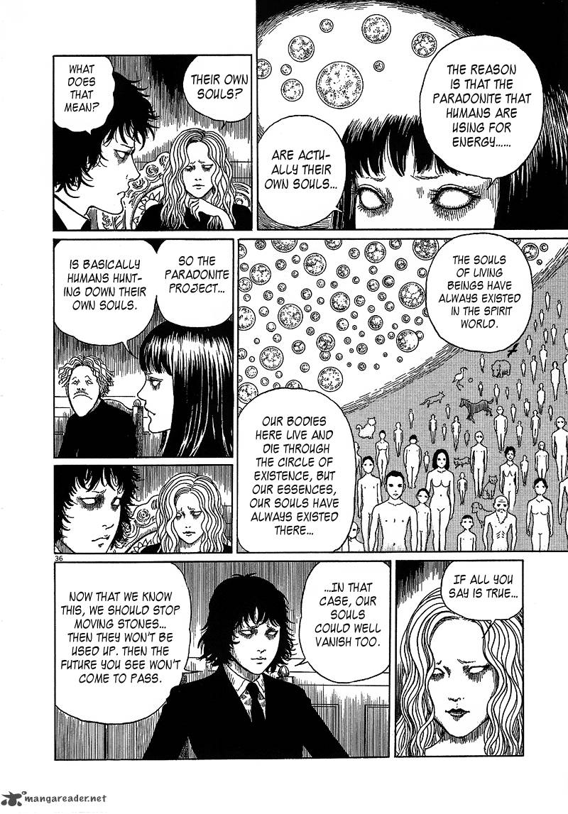 Black Paradox 6 36