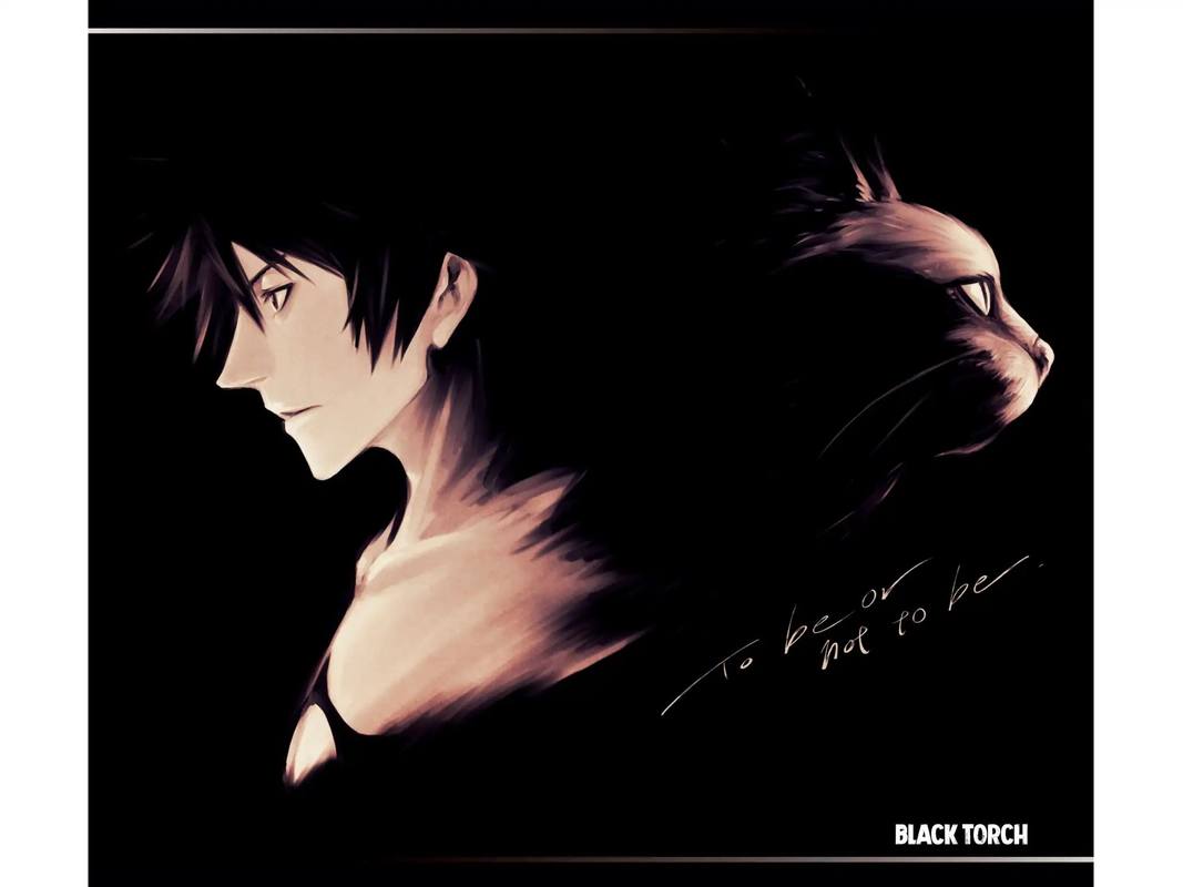 Black Torch 15 51