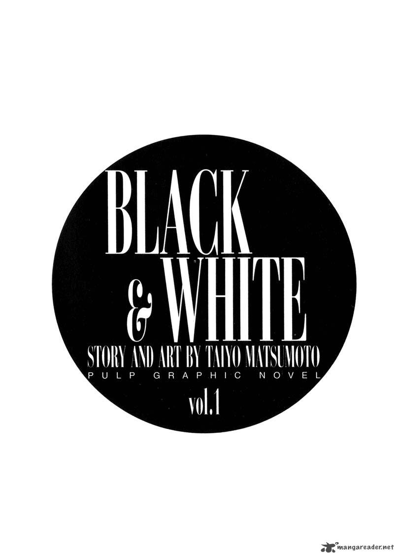 Black White 1 3