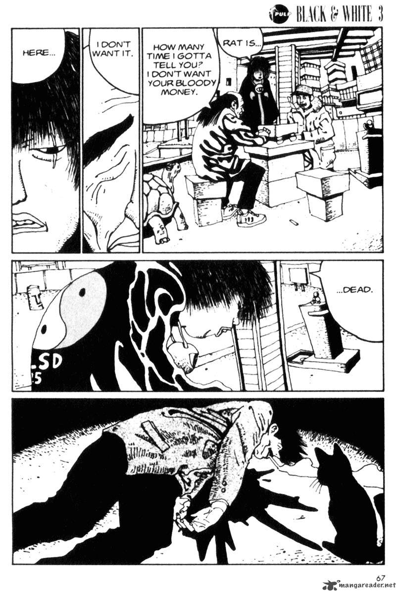 Black White 26 7