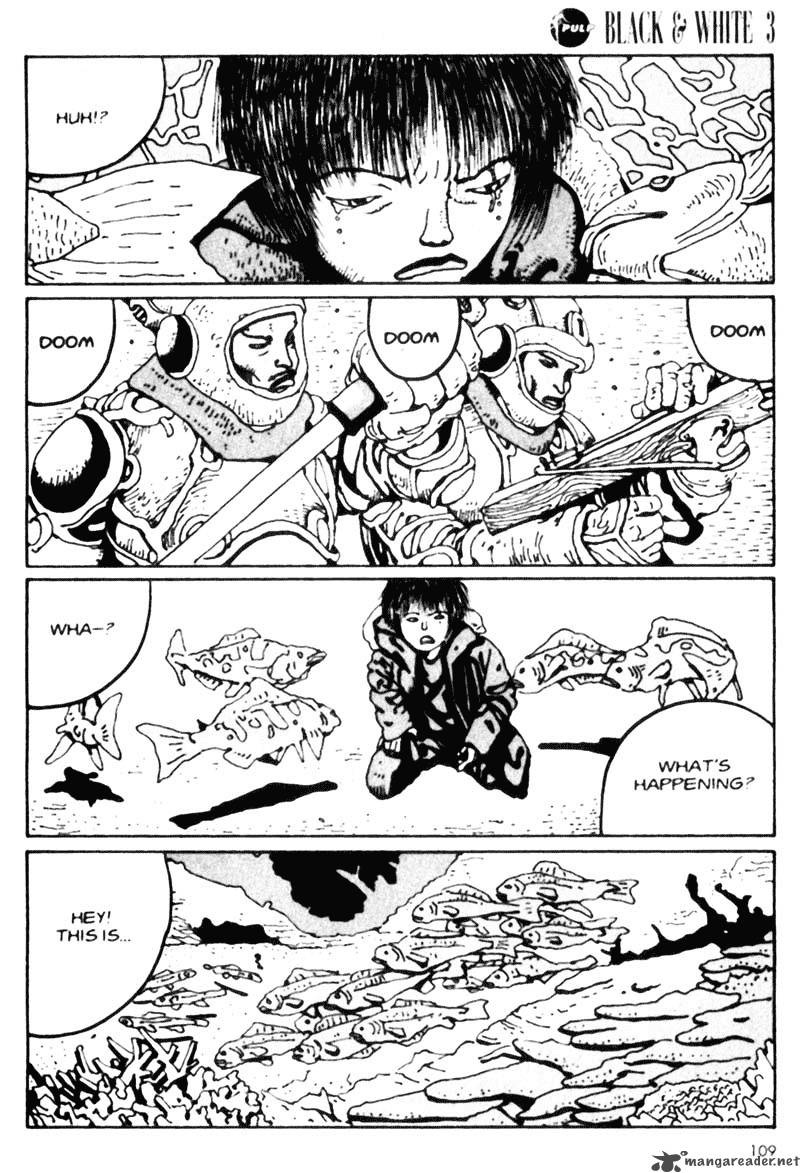 Black White 28 13