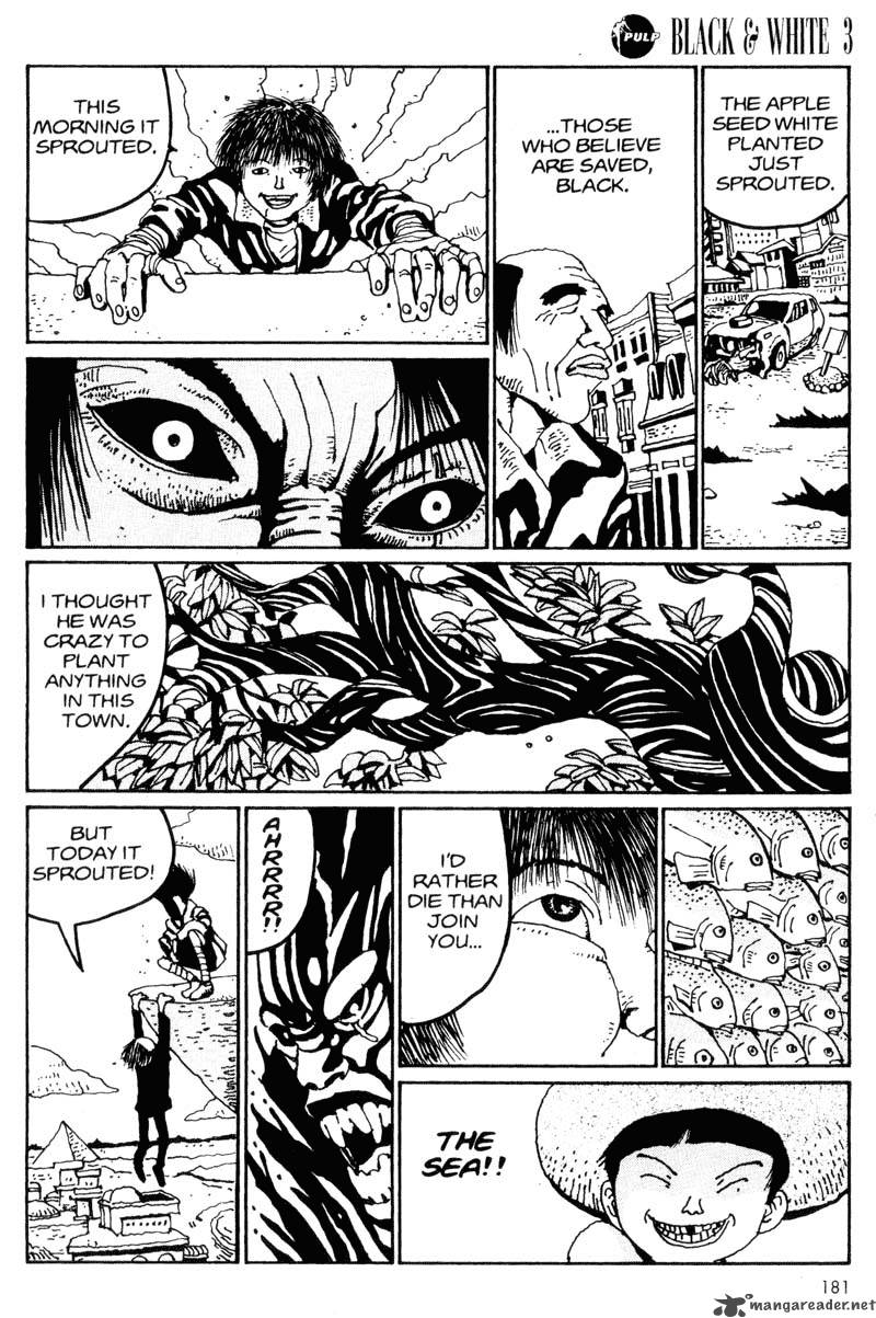 Black White 32 13