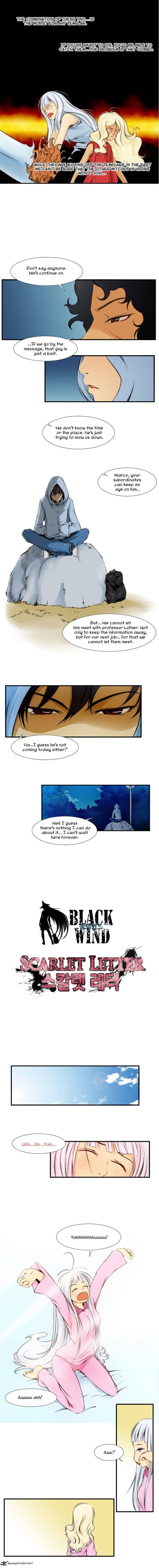 Black Wind 16 5