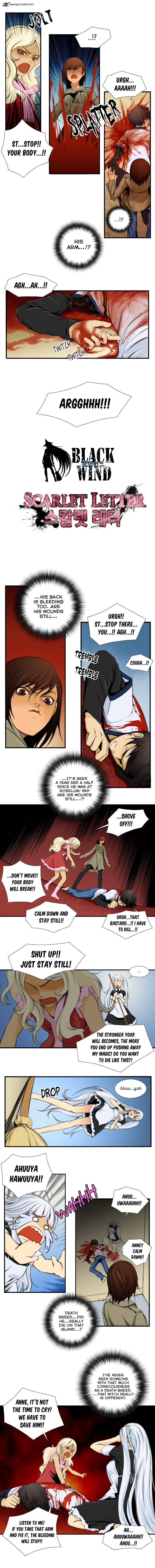 Black Wind 21 4