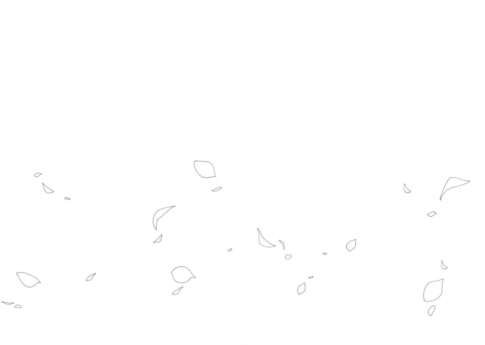Blanc 11 21