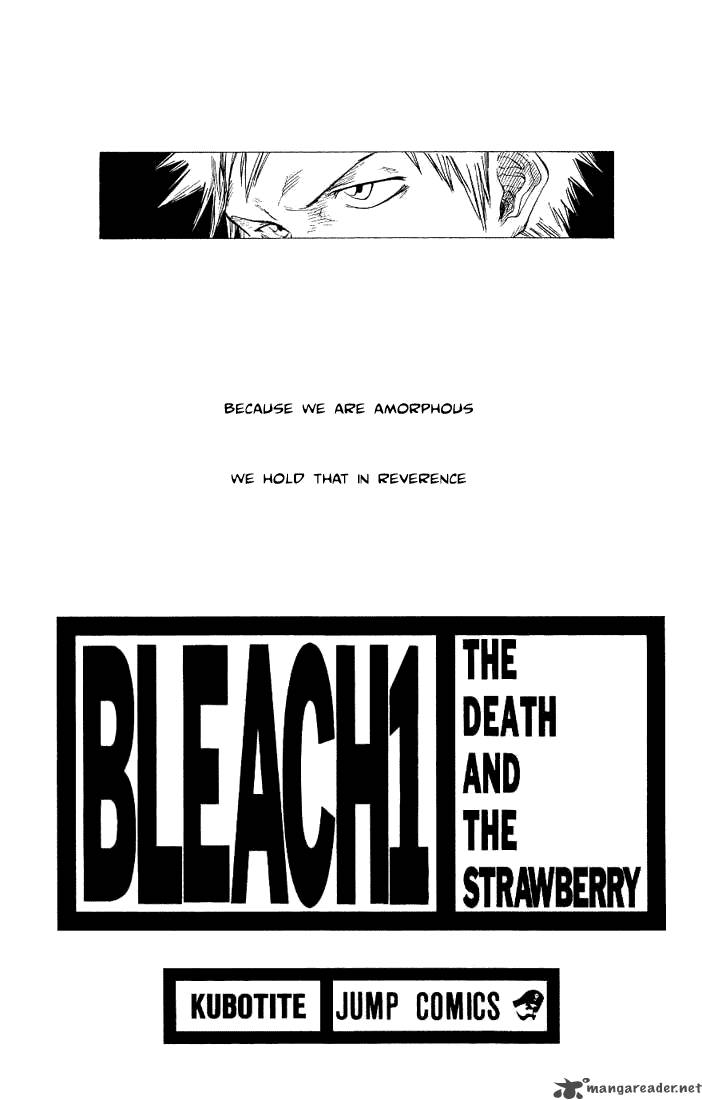Bleach 1 1