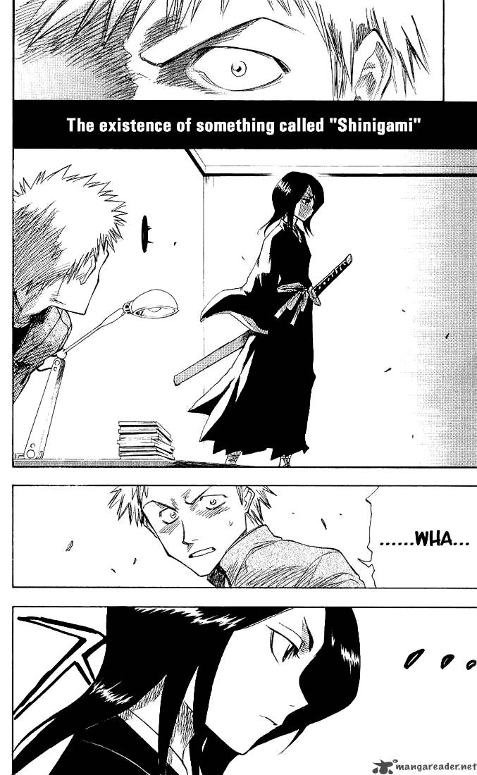 Bleach 1 12