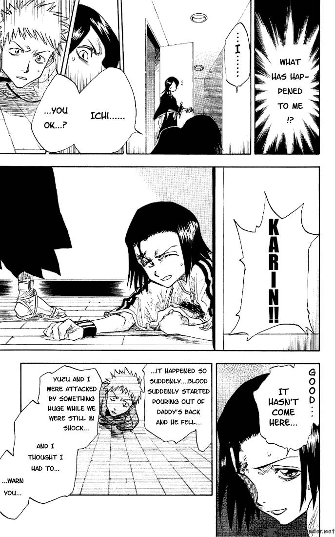 Bleach 1 25