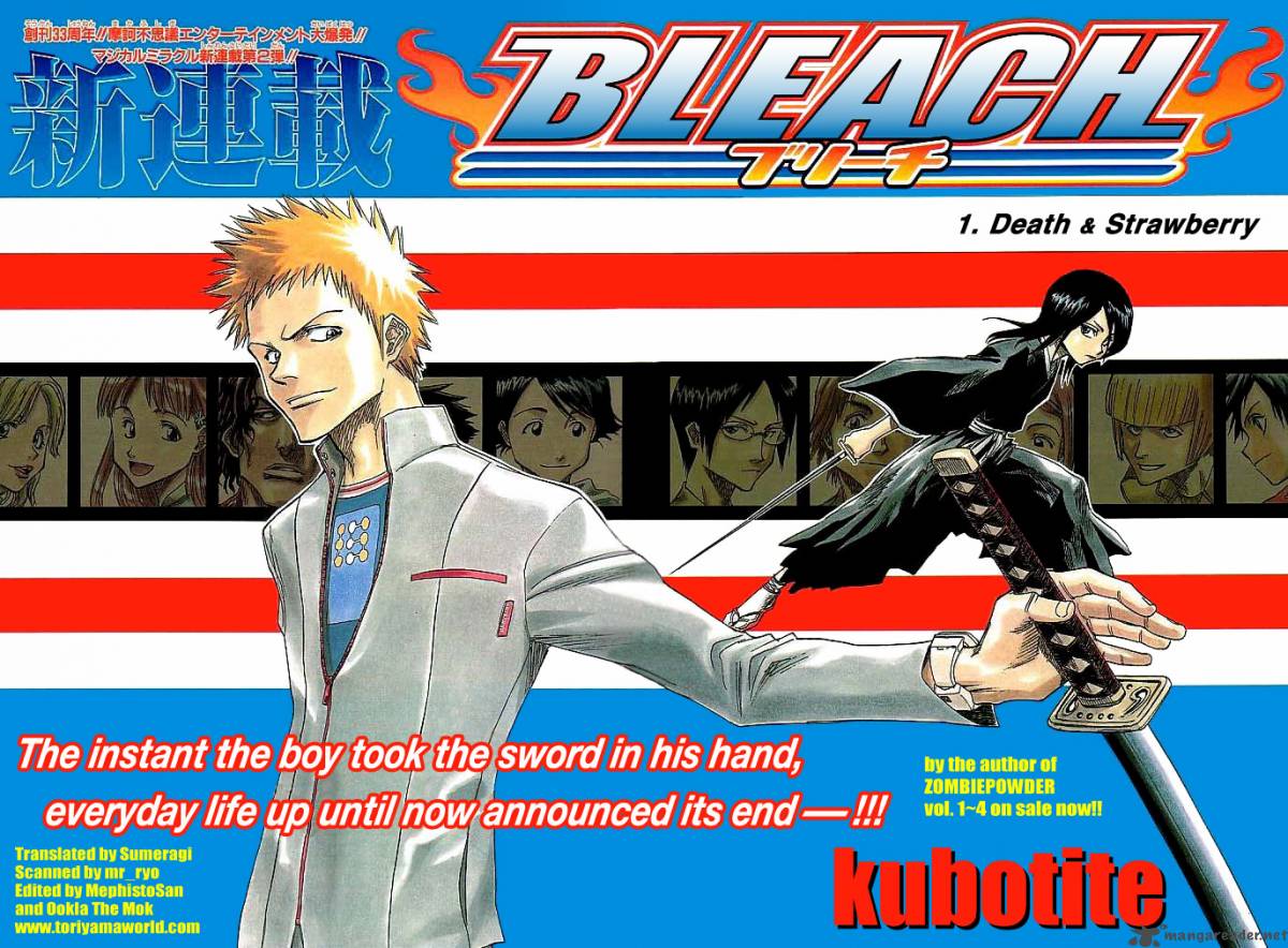 Bleach 1 3