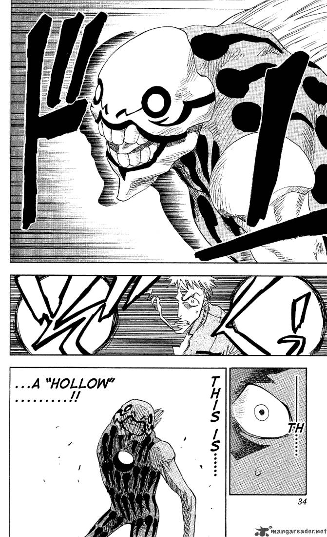 Bleach 1 30