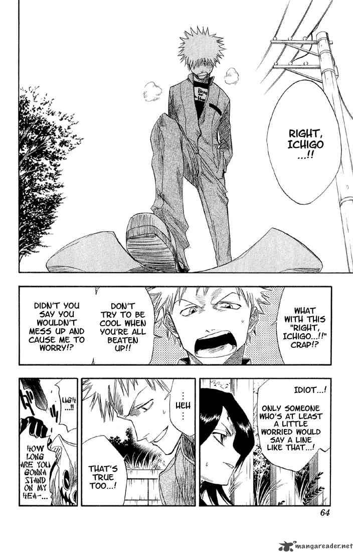 Bleach 10 19
