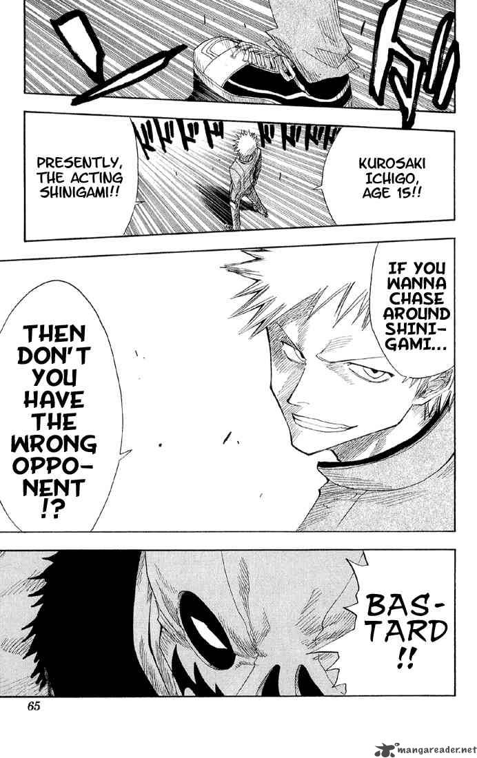 Bleach 10 20