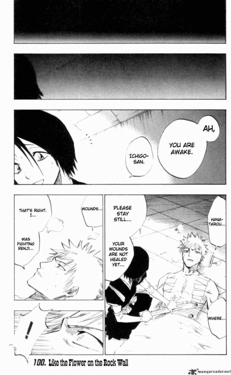 Bleach 100 1