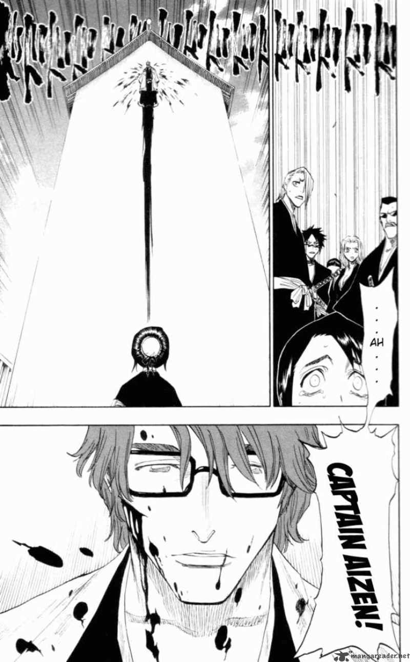 Bleach 100 19
