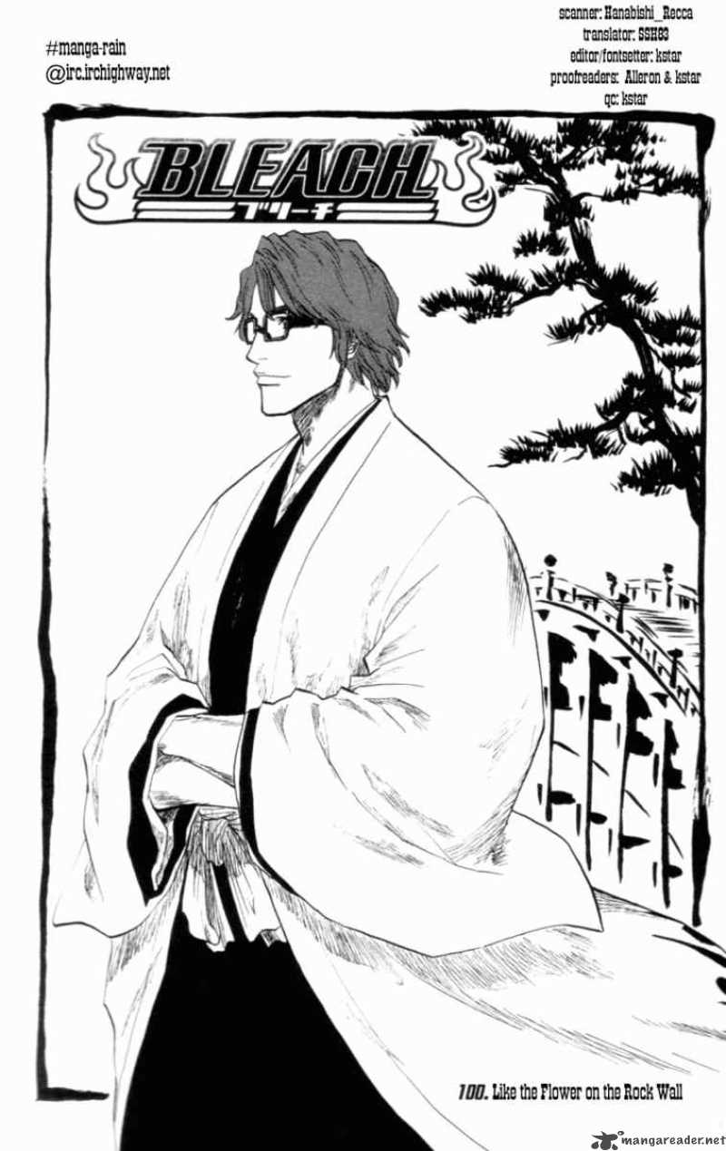 Bleach 100 5