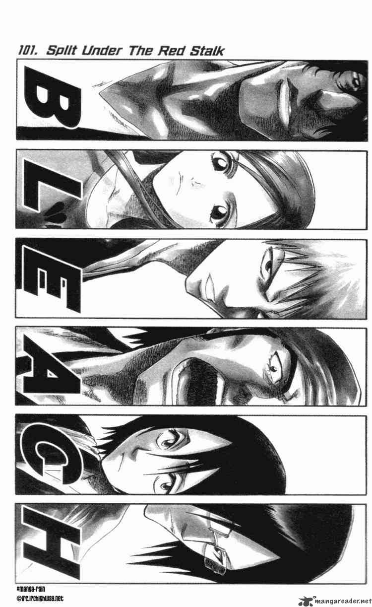 Bleach 101 1
