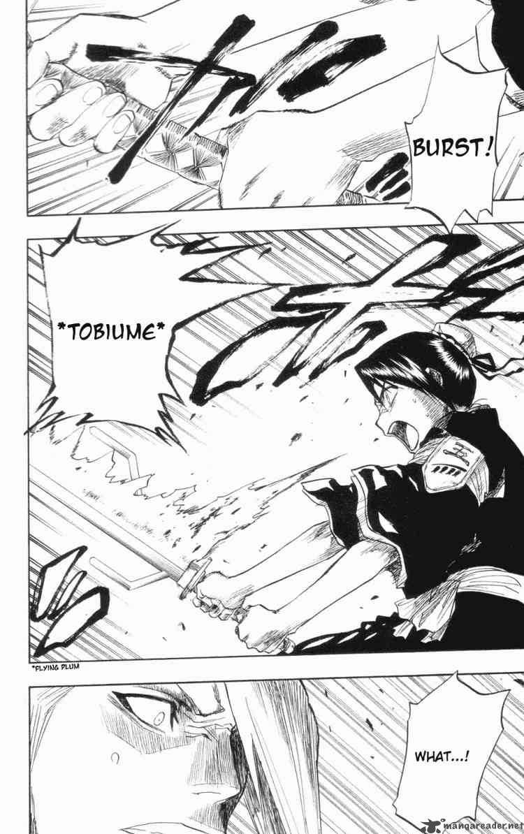 Bleach 101 10