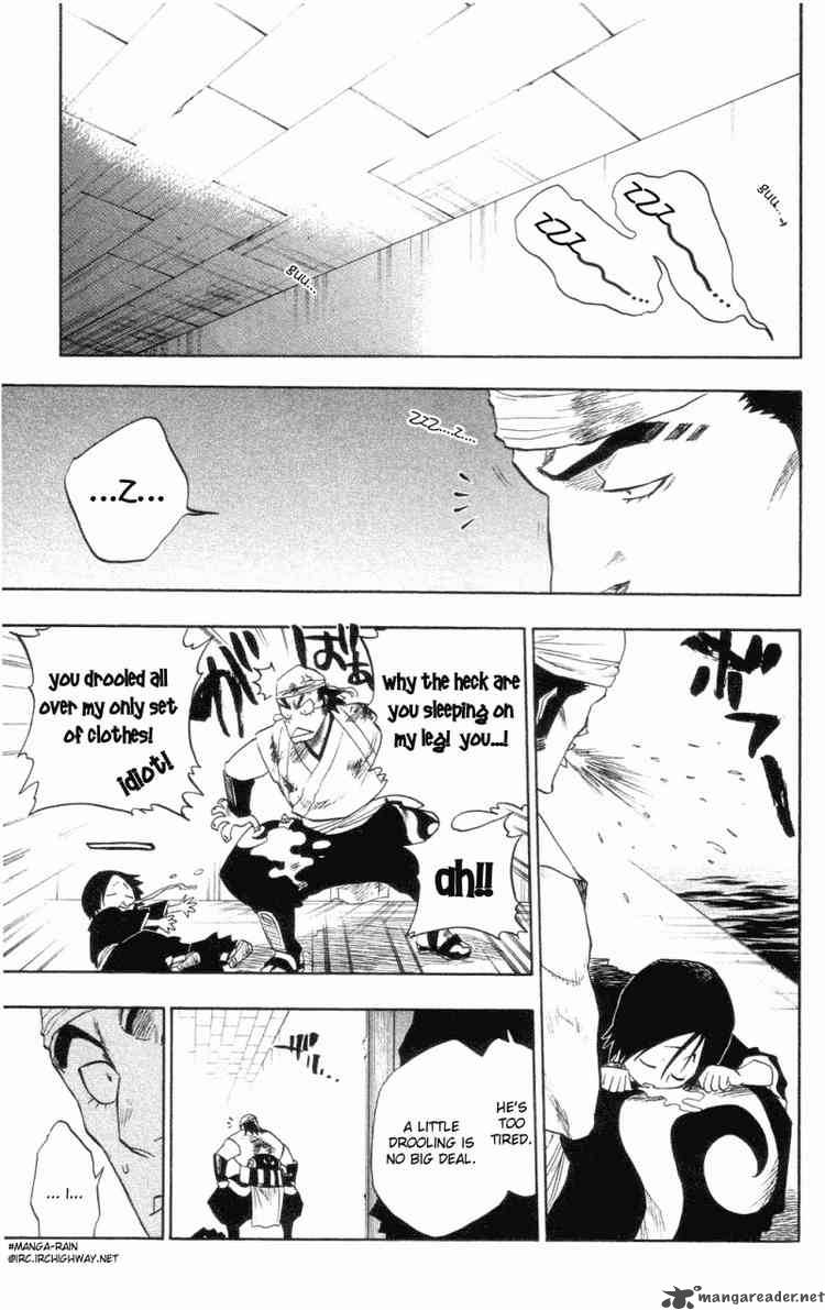 Bleach 101 17