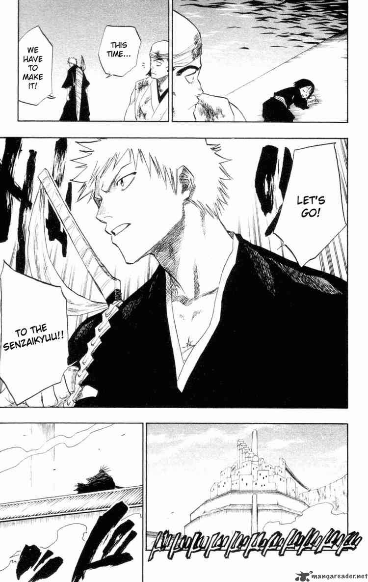 Bleach 101 19