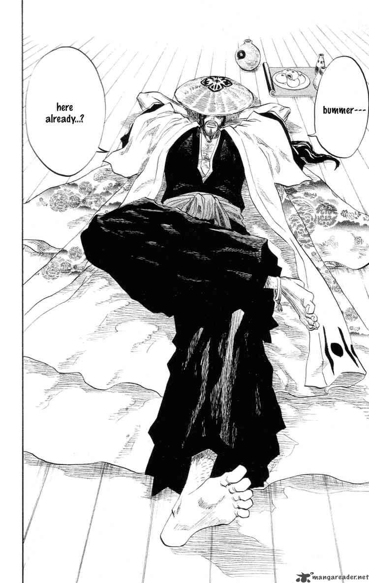 Bleach 102 15
