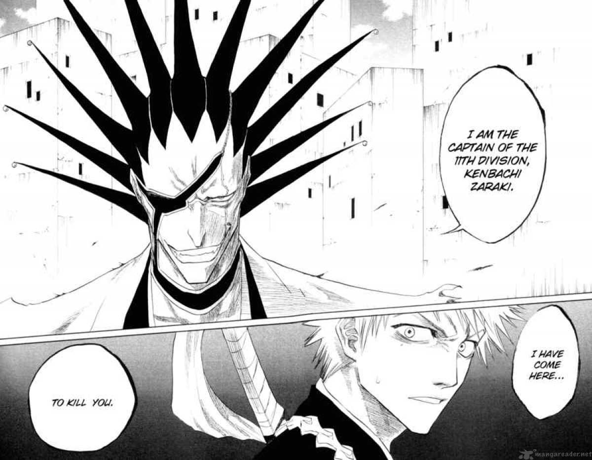 Bleach 103 17