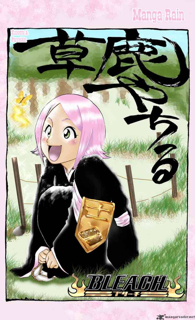 Bleach 105 10