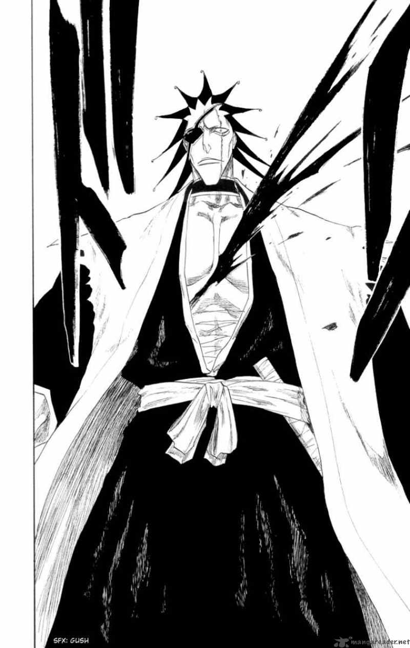 Bleach 108 27