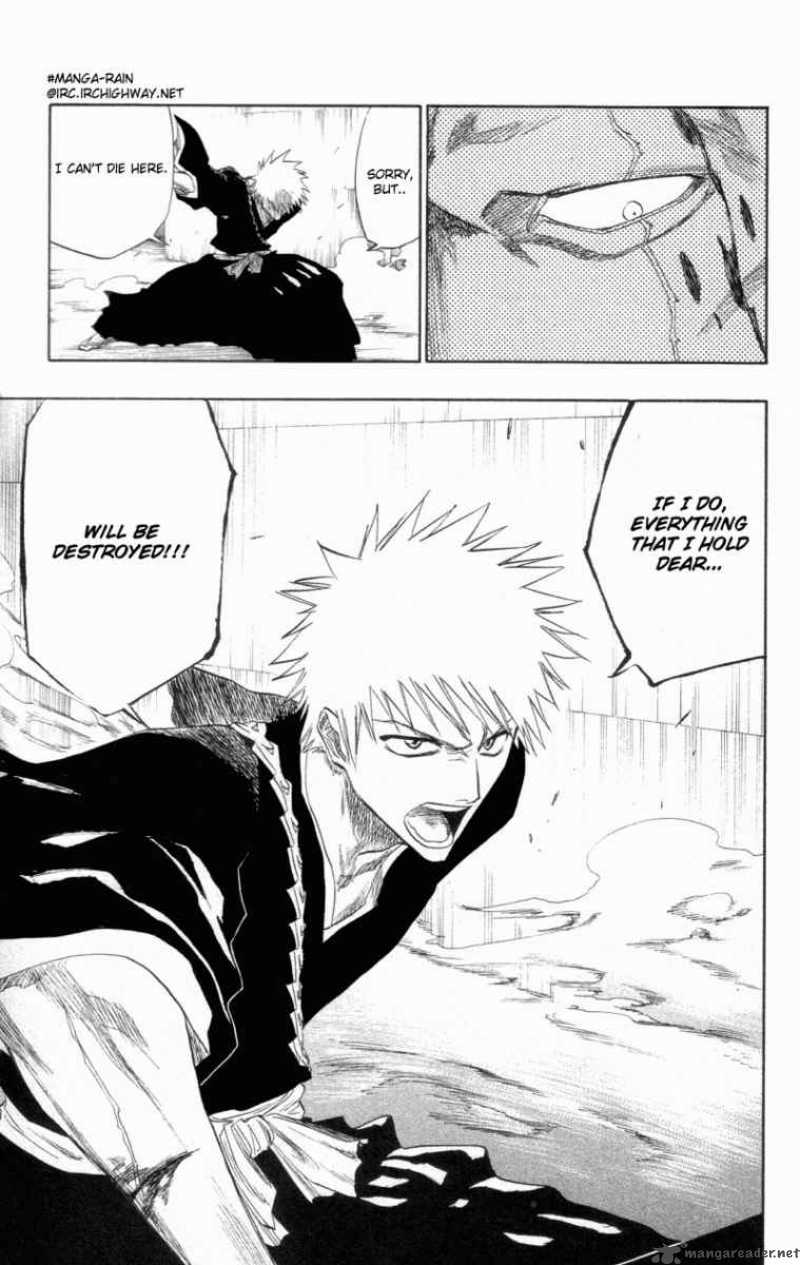 Bleach 108 28