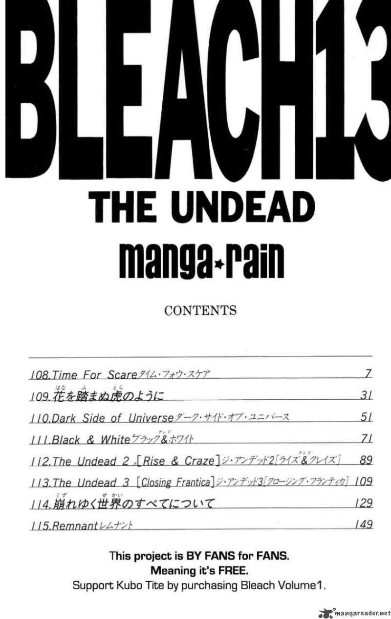 Bleach 108 5