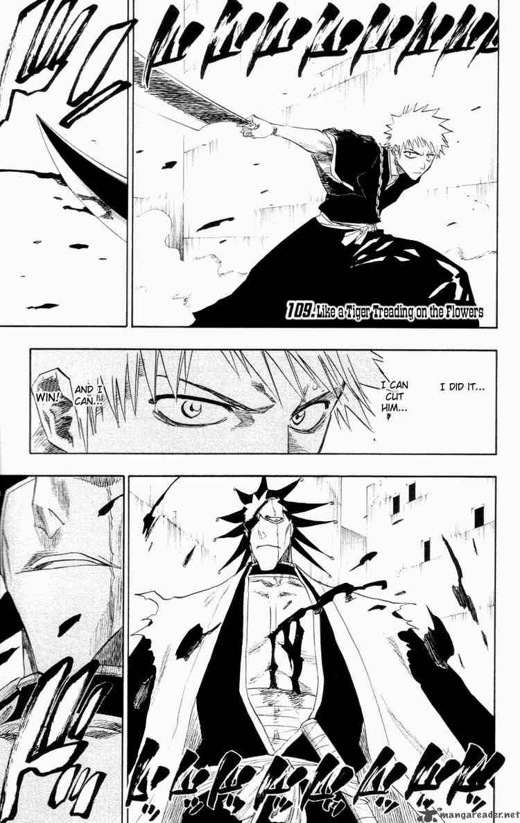 Bleach 109 1