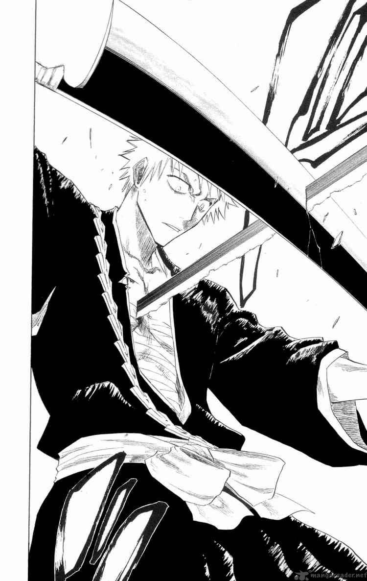 Bleach 109 18