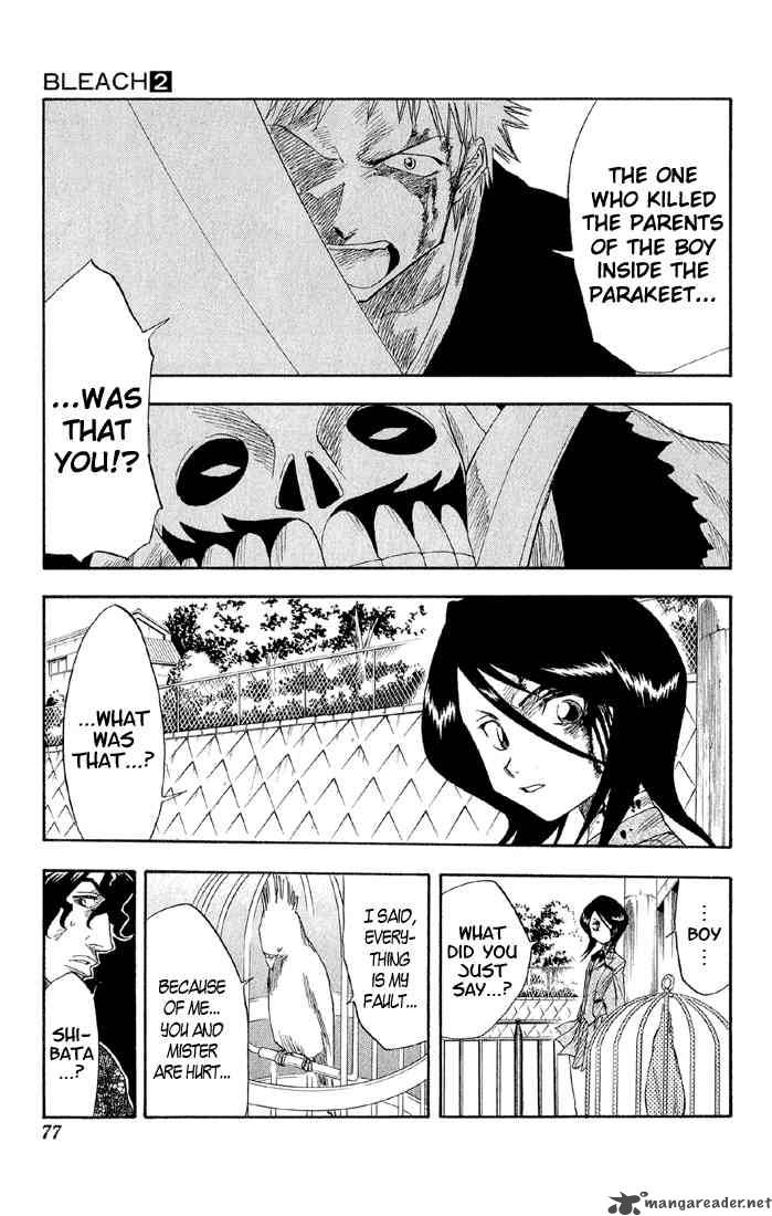 Bleach 11 12