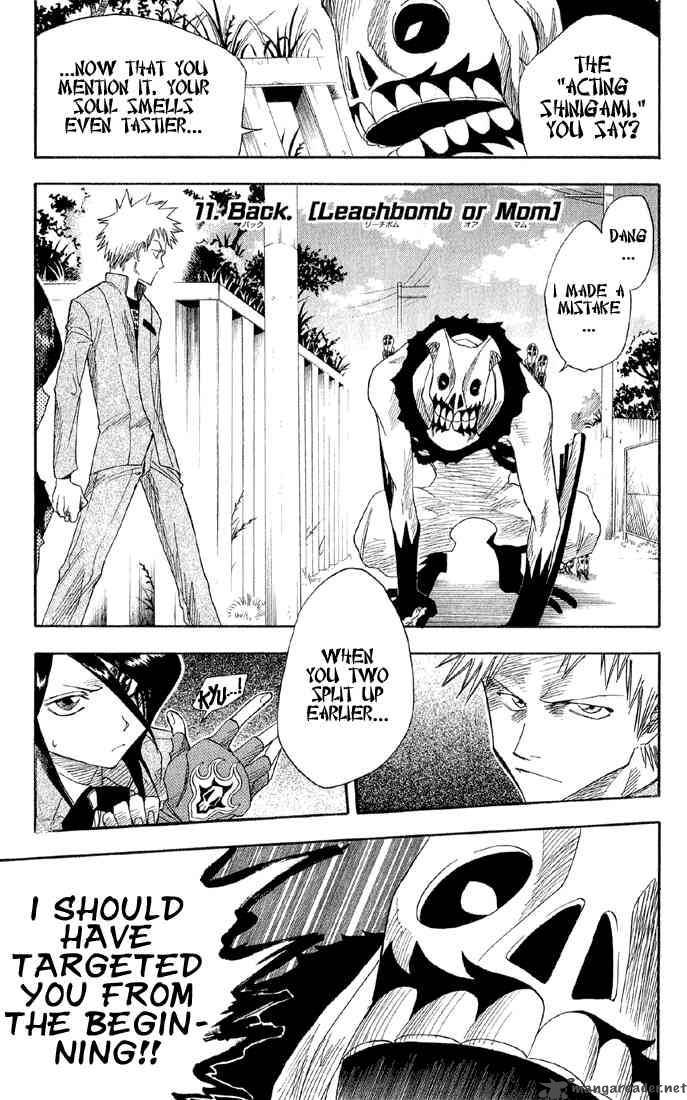 Bleach 11 2