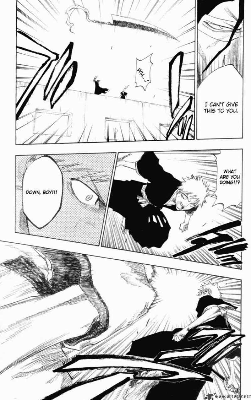 Bleach 110 15