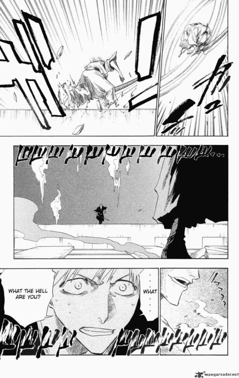 Bleach 110 17