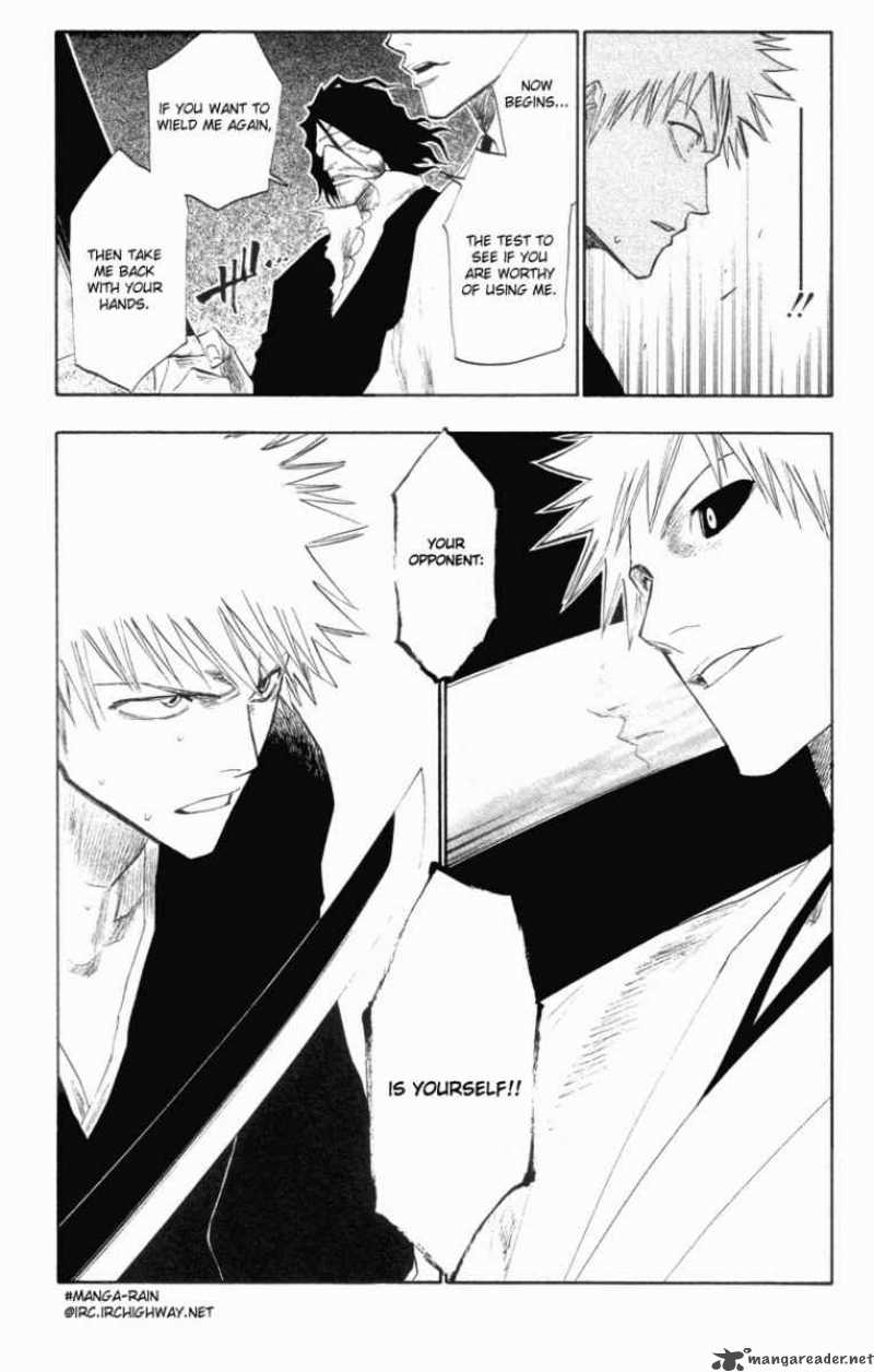 Bleach 110 19