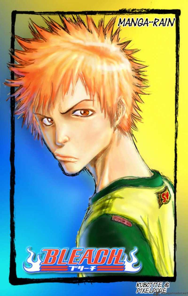 Bleach 110 21