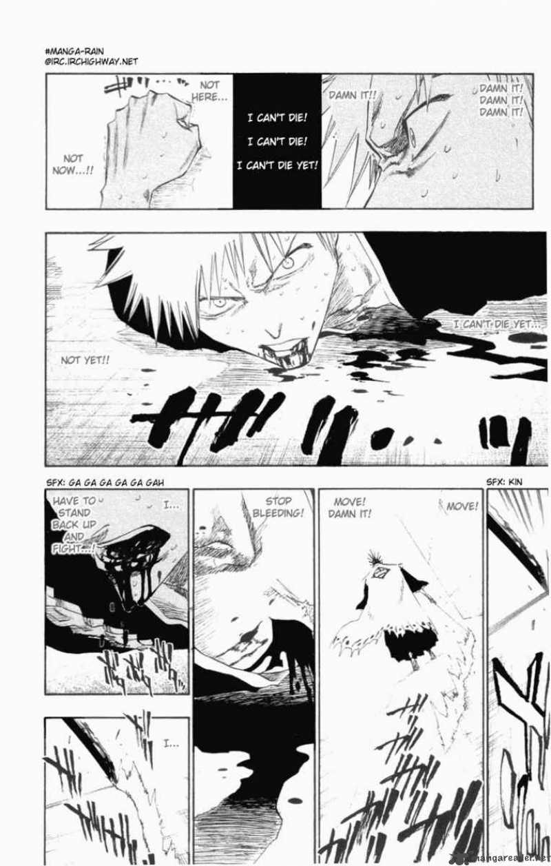 Bleach 110 4
