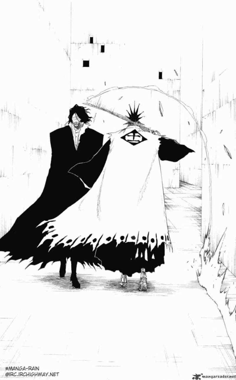 Bleach 110 6