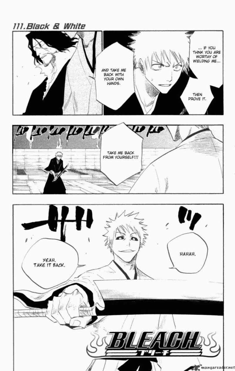 Bleach 111 1