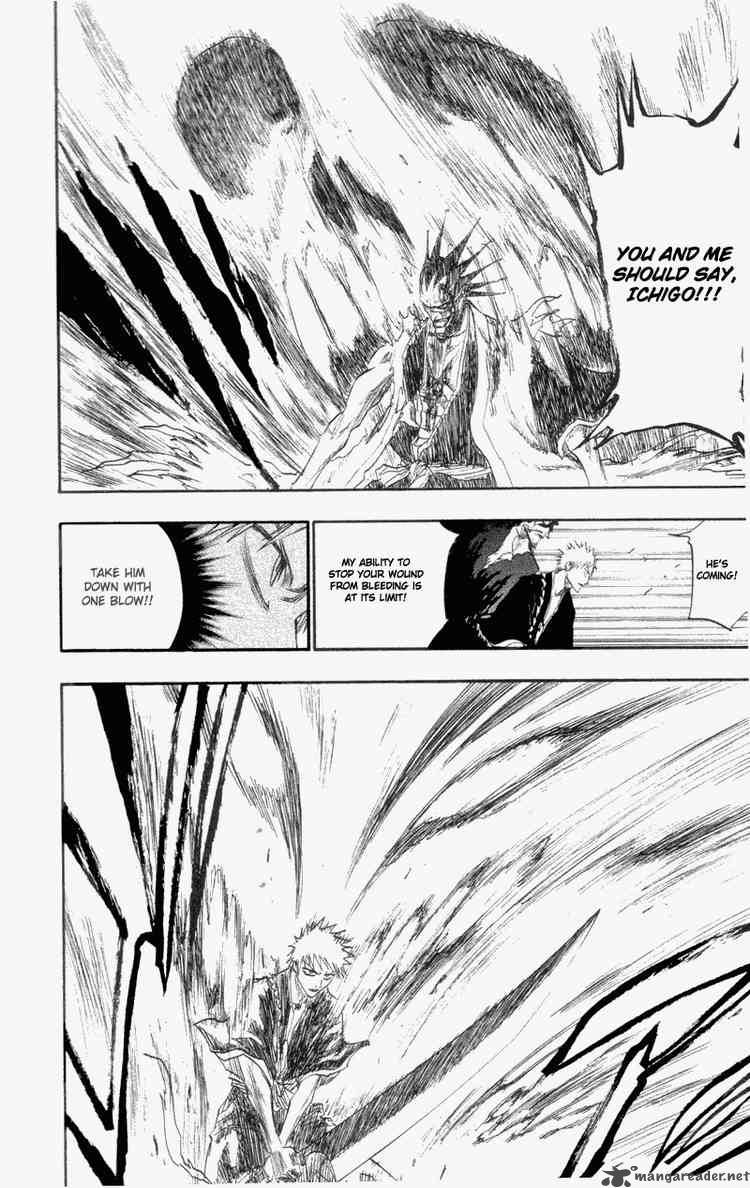 Bleach 113 12