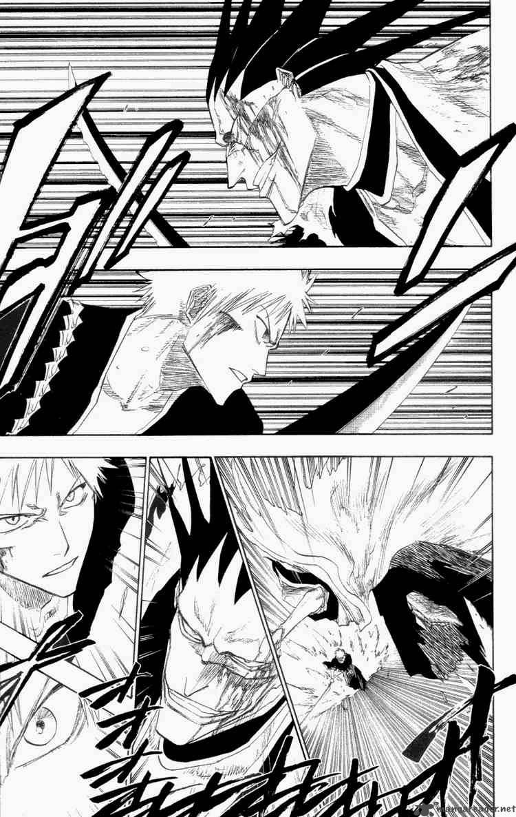Bleach 113 13
