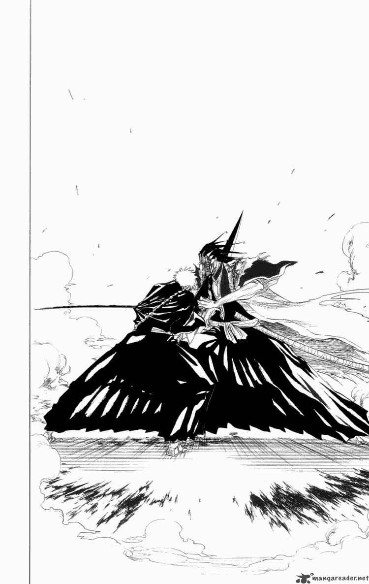 Bleach 113 15
