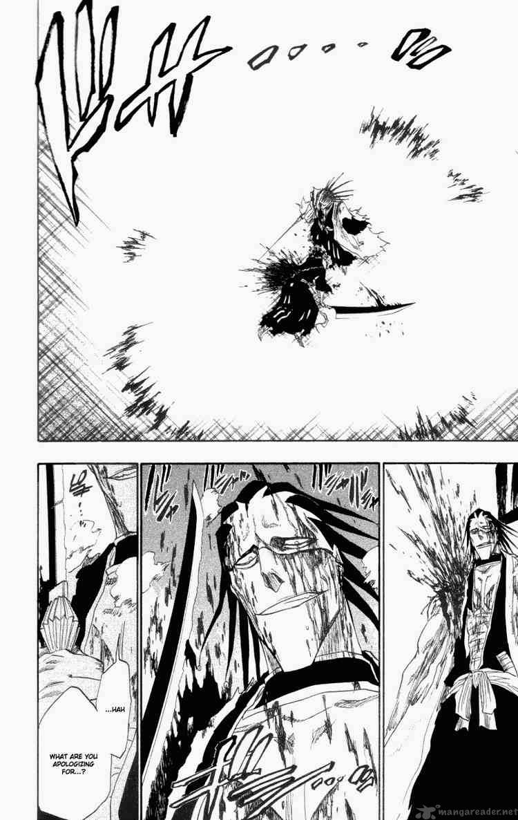 Bleach 113 17