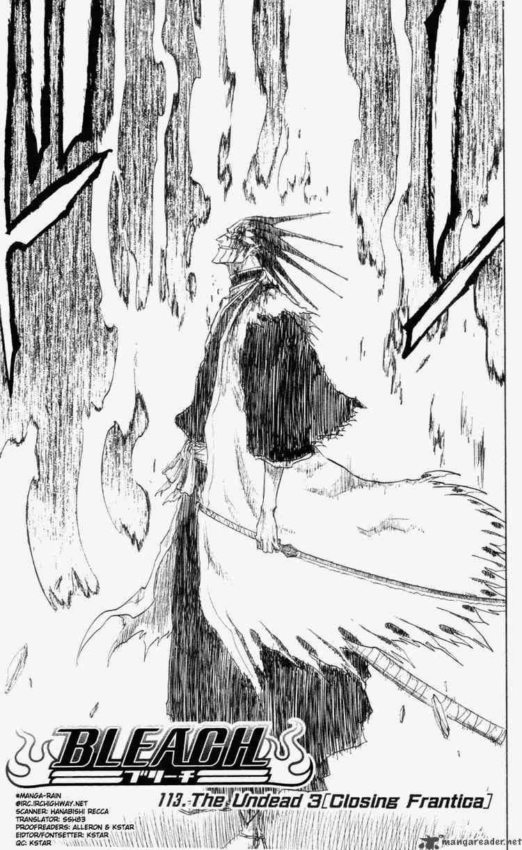 Bleach 113 3