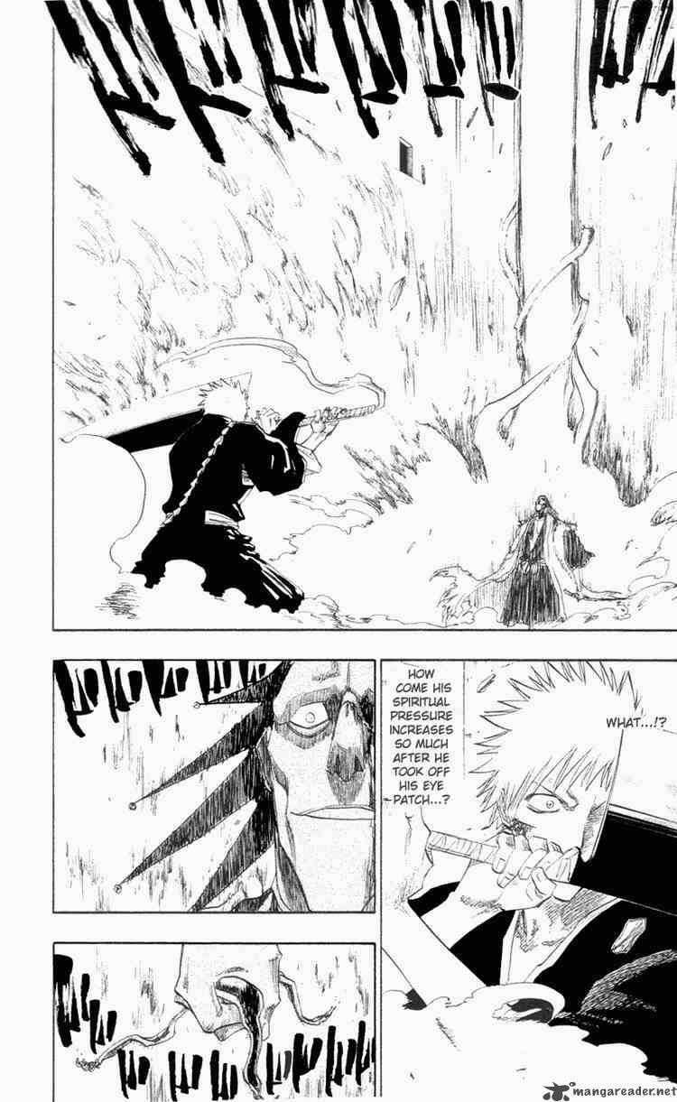 Bleach 113 4