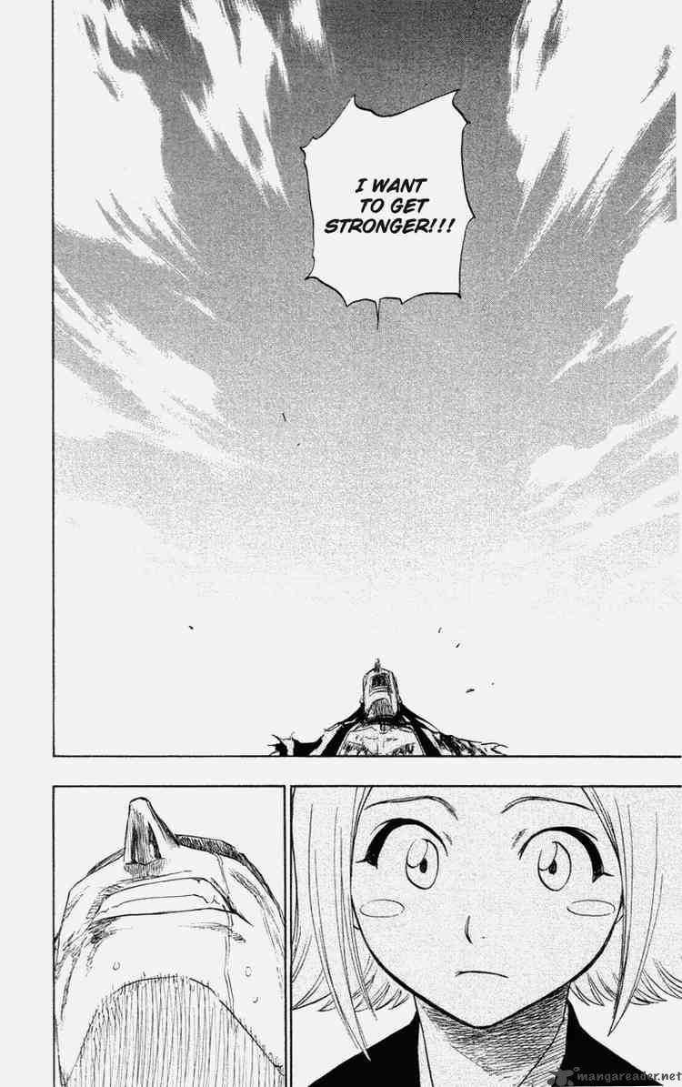 Bleach 114 14